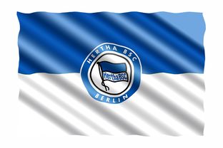 柏林赫塔主场失利，德甲排名跌至中游位置，足球德甲柏林赫塔赛果